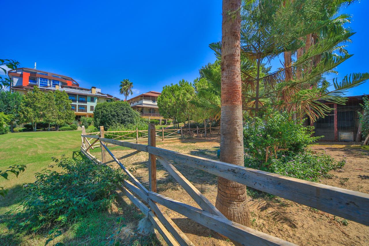 Lonicera Resort & Spa Hotel Avsallar Εξωτερικό φωτογραφία