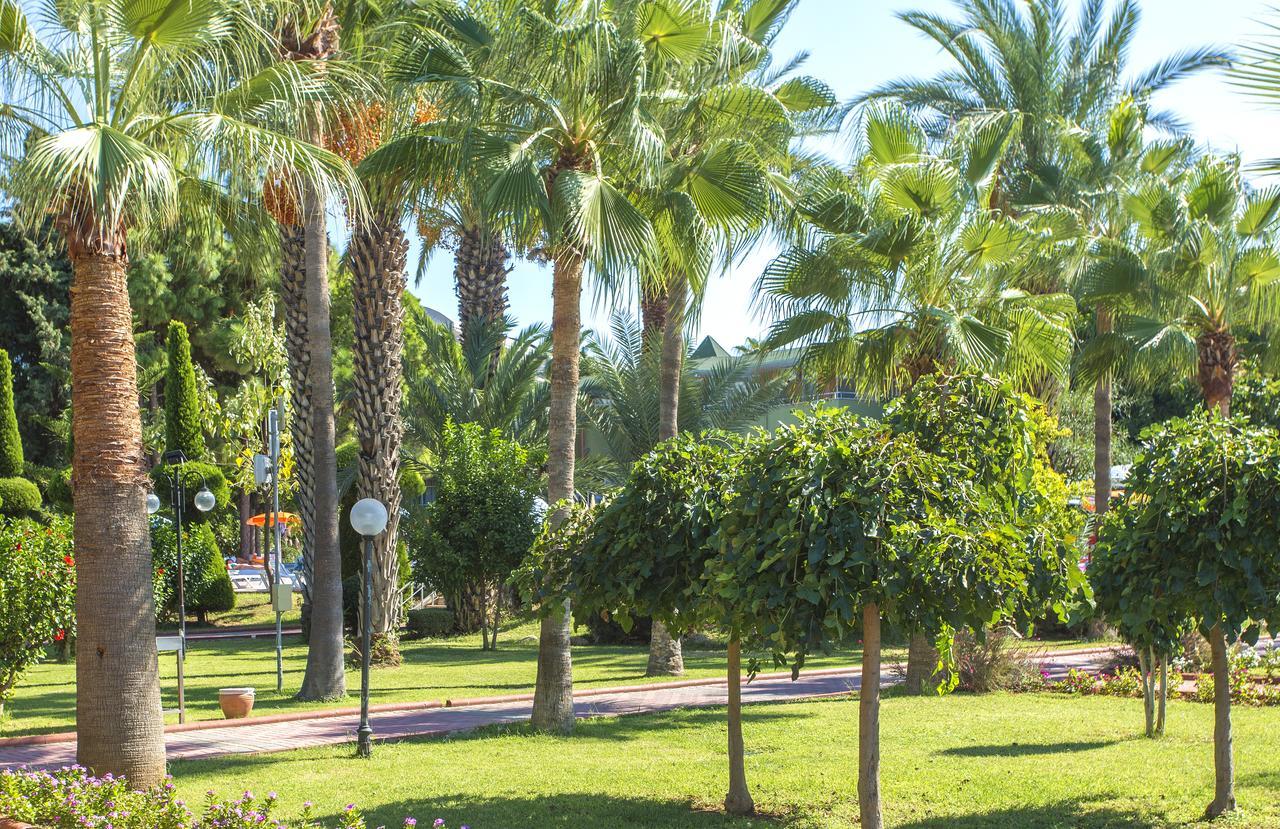 Lonicera Resort & Spa Hotel Avsallar Εξωτερικό φωτογραφία